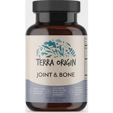 Terra Origin Joint & Bone 120