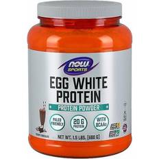 Now Foods Protein Powders Now Foods Sports Eggwhite Protein Rich Chocolate 1.5 lbs