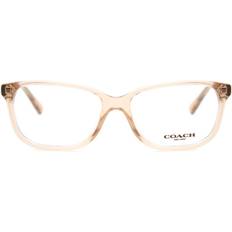 Orange Glasses & Reading Glasses Coach HC6143 5561