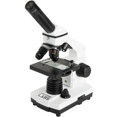 Celestron Mikroskope & Teleskope Celestron 44128CGL CLCM800 Compound Microscope