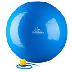 55cm Gym Ball 55 cm. Static Strength Exercise Stability Ball