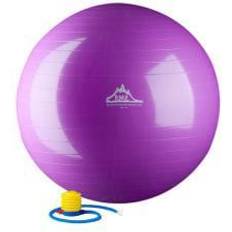 75cm Gym Ball 75 cm. Static Strength Exercise Stability Ball