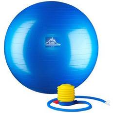 Gym Balls PSBLUE 85CM 85 cm Professional Grade Stability Ball Pro Series Anti-Burst Static Weight Capacity