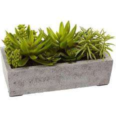 Nearly Natural Pots & Planters Nearly Natural Succulent Garden Planter Box 12.75x8.5"