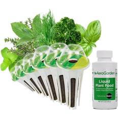 Plant Kits AeroGarden Gourmet Herbs Seed Pod Kit 6-Pod