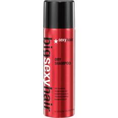 Sexy Hair Big Dry Shampoo 5.1fl oz