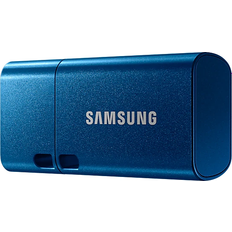 128 GB Minnepenner Samsung USB 3.2 Type-C 128GB