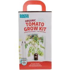 Vegetable Seeds Back To The Roots Organic Cherry Tomato Windowsill Grow Planter