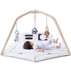 Lovevery The Play Gym, baby activity gear
