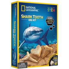 Science Experiment Kits National Geographic Shark Tooth Dig Kit