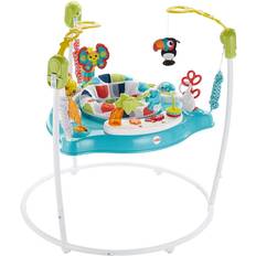 Fisher Price Color Climbers Jumperoo