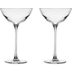 Cocktail Glasses Nude Glass Savage Coupetini Cocktail Glass 2