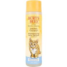 Burt's Bees Tearless Kitten Shampoo with Buttermilk 0.3