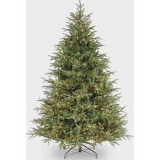 Pre lit christmas tree National Tree Company Frasier Grande Christmas Tree 75"
