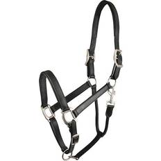 Horse Halters Gatsby Adjustable Padded Leather Halter