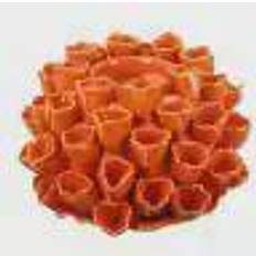A&B Home Open Coral Candle Holder 4.3"