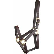 Gatsby Halters & Lead Ropes Gatsby Track Style Turnout Snap Halter Horse