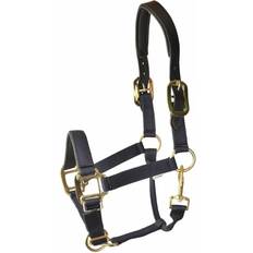Gatsby Halters & Lead Ropes Gatsby Premium Nylon Halter With Padded Leather Overlay