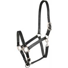 Gatsby Halters & Lead Ropes Gatsby Adjustable Leather Halter with Snap