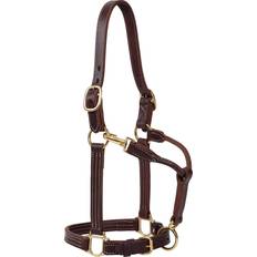Weaver Halters & Lead Ropes Weaver Oiled Canyon Rose Track Horse Halter