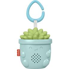 Mattel Baby Toys Mattel Succulent Soother
