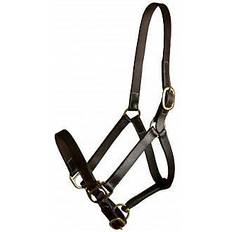 Equestrian Gatsby Adj Turnout Leather Halter No Snap