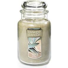Green Scented Candles Yankee Candle Sage & Citrus Scented Candle 22oz