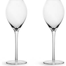 Sagaform Champagne Glasses Sagaform Saga Champagne Glass 6.8fl oz 2