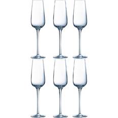 Chef & Sommelier Champagneglass Chef & Sommelier Sublime Champagneglass 21cl 6st