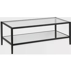 Rectangle Coffee Tables Hudson & Canal Wilda Coffee Table 20x45"