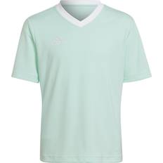 Grün T-Shirts adidas Trænings T-Shirt Entrada Grøn/Hvid Børn 164