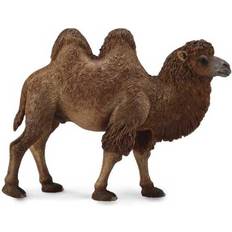 Collecta Figuren Collecta Camello Bactarian Figure Brown 3-6 Years Brown 3-6 Years
