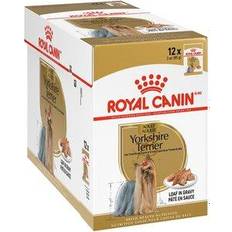 Royal Canin Yorkshire Terrier Adult Loaf in Sauce Canned 12x85g
