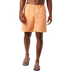 Men - Turquoise Clothing Columbia Backcast III 8in Hybrid Shorts
