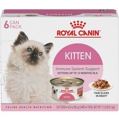 Royal canin kitten food Pets Royal Canin Kitten Thin Slices in Gravy Canned 12x85g