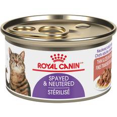 Royal Canin Wet Food Pets Royal Canin Spayed/Neutered Thin Slices In Gravy Canned 24x85g