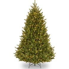 National Tree Company 6.5' Pre-Lit Fraser Fir Christmas Green Green 6.5 Ft Christmas Tree