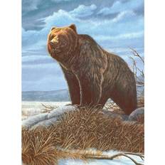 Toys Royal & Langnickel Painting by Numbers Junior Small Grizzly Bear Kit Michaels Multicolor