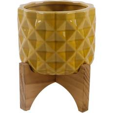 FloraBunda Pots, Plants & Cultivation FloraBunda Dimple Ceramic Pot with Wood Stand ∅5"