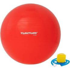 Tunturi Exercise Balls Tunturi Gym Ball 65 cm