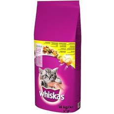 Whiskas cat food Pets Whiskas Junior Dry Food Kitten with 14kg 14