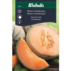Frukt- & Bærfrø Weibulls Melon Cantaloupe