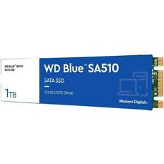 Western Digital Solid State Drive (SSD) Harddisker & SSD-er Western Digital Blue WDS100T3B0B 1TB
