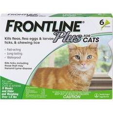 Pets Frontline Plus for Cats Kittens (1.5 Treatment