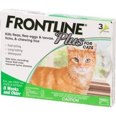 Frontline plus for cats Pets Frontline Plus Cats 3 Doses