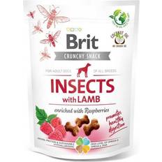 Brit Care Crunchy Snack Insects Lamb 200