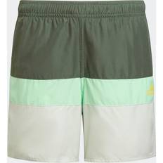 adidas Colorblock Swim Shorts