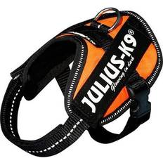 Julius-K9 Pets Julius-K9 UV Orange Dog Harness, XX-Small