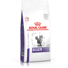Royal Canin Dental Adult Dry Cat Food 3