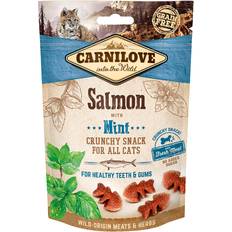 Carnilove Katzen Haustiere Carnilove Cat Crunchy Snacks Salmon with Mint